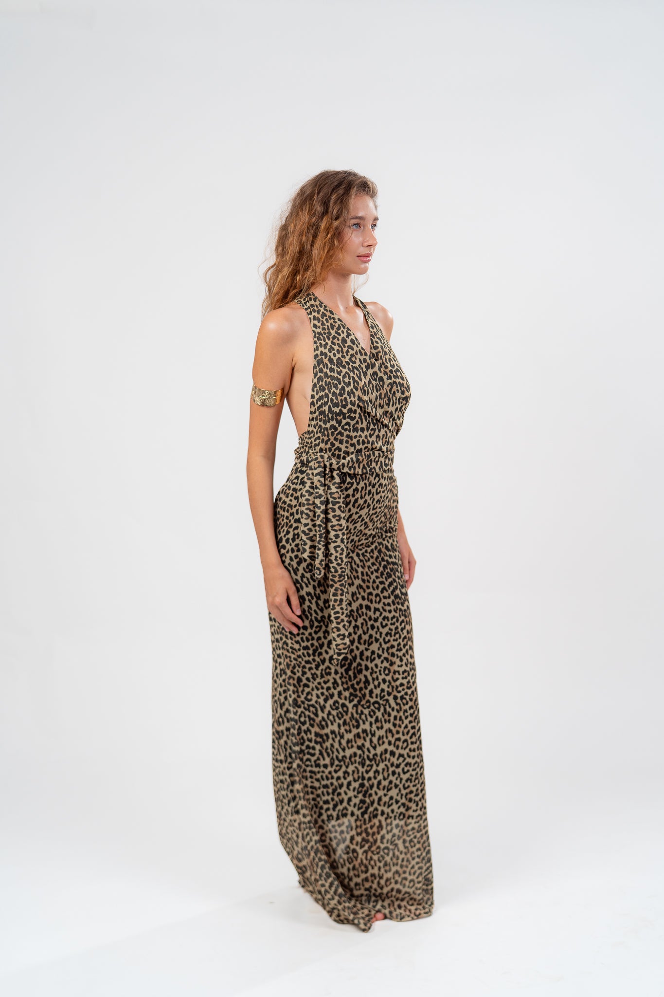 Tigra Dress